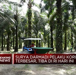 Buronan Korupsi, Surya Darmadi Balik Ke RI