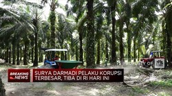 Buronan Korupsi, Surya Darmadi Balik Ke RI