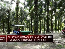 Buronan Korupsi, Surya Darmadi Balik Ke RI