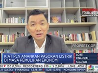 Bos PLN: Disparitas Harga Batu Bara & DMO Harus Dituntaskan!