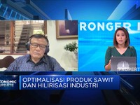 GIMNI:Ini Yang Diperlukan Jika RI Mau Jadi Pemain Sawit Dunia