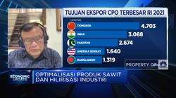 Sederet Tantangan Optimalisasi Produk Sawit RI