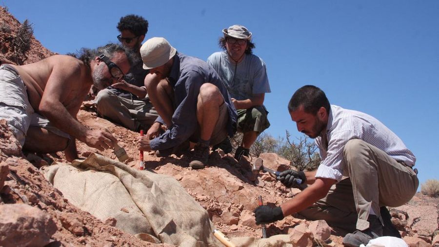 Palaeontologists work on the excavation of bones and fossils that belonged to a newly discovered species of bipedal armoured dinosaur, Jakapil kaniukura, in Rio Negro, Argentina February 2, 2016. Sebastian Apesteguia/Handout via REUTERS ATTENTION EDITORS - THIS IMAGE WAS PROVIDED BY A THIRD PARTY.