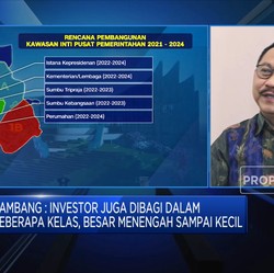Tidak Hanya UEA, 4 Negara Ini Tertarik Biayai IKN