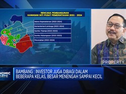 Bos IKN Ungkap Sederet Daya Tarik Investasi Ibu Kota Baru