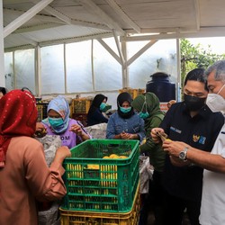 Holding Ultra Mikro Jadi Fondasi Ekonomi Kerakyatan