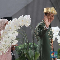 Potret Baju Adat Paksian yang Dikenakan Jokowi Hari Ini
