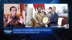 Setelah Beras, Jokowi Kejar Target Swasembada Gula & Jagung