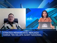 Uji Jurus Pemerintah Naikkan Harga TBS Sawit, Sudah Efektif?