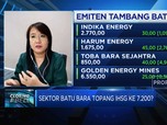 Harga Batu Bara Menuju Rekor, Saham Tambang Kian Cemerlang?