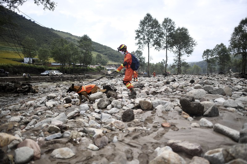 Hujan dan Banjir Bandang di China Seorang pekerja penyelamat dan anjing mencari korban setelah banjir di Desa Shadai, Kotapraja Qingshan di Datong Hui dan Kabupaten Otonom Tu di Provinsi Qinghai, Tiongkok barat laut, Kamis (18/8/2022). Badai hujan yang melanda Tiongkok barat memicu tanah longsor yang mengalihkan sungai dan menyebabkan banjir bandang di daerah berpenduduk, menewaskan beberapa orang dan membuat yang lain hilang. (Zhang Hongxiang/Xinhua via AP)