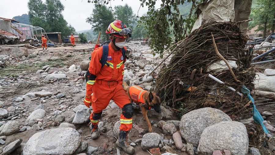 Seorang pekerja penyelamat dan anjing mencari korban setelah banjir di Desa Shadai, Kotapraja Qingshan di Datong Hui dan Kabupaten Otonom Tu di Provinsi Qinghai, Tiongkok barat laut, Kamis (18/8/2022). Badai hujan yang melanda Tiongkok barat memicu tanah longsor yang mengalihkan sungai dan menyebabkan banjir bandang di daerah berpenduduk, menewaskan beberapa orang dan membuat yang lain hilang.  (Zhang Hongxiang/Xinhua via AP)
