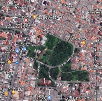 Mengintip Lahan-Lahan Kosong Hektaran di DKI dari Google Maps