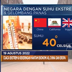 Neraca Indonesia Surplus Hingga Bank Turki Disebut Idiot