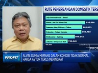 Pengamat Sebut Harga Tiket Pesawat Sulit Turun, Ini Sebabnya!