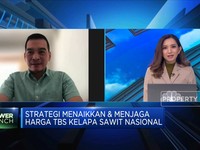 Strategi Menaikkan & Menjaga harga TBS Kelapa Sawit Nasional