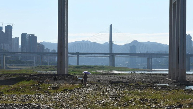 The central pillar of Qiansimen bridge stands exposed on the dried-up riverbed of the Jialing river, a tributary of the Yangtze, that is approaching record-low water levels in Chongqing, China, August 18, 2022.   REUTERS/Thomas Peter