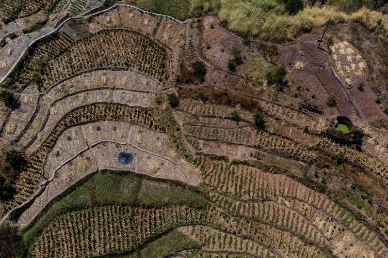 CHINA-WEATHER/FARMER An aerial view of parched terrace fields in Fuyuan village, as the region is experiencing a drought, in Chongqing China, August 19, 2022. REUTERS/Thomas Peter TPX IMAGES OF THE DAY