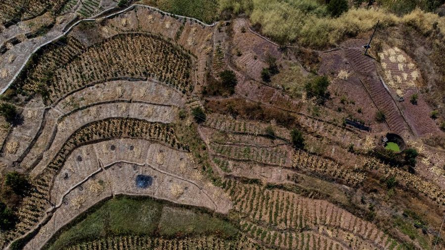 An aerial view of parched terrace fields in Fuyuan village, as the region is experiencing a drought, in Chongqing China, August 19, 2022. REUTERS/Thomas Peter     TPX IMAGES OF THE DAY