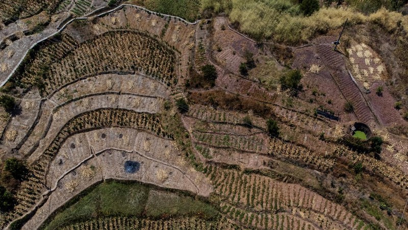 An aerial view of parched terrace fields in Fuyuan village, as the region is experiencing a drought, in Chongqing China, August 19, 2022. REUTERS/Thomas Peter     TPX IMAGES OF THE DAY
