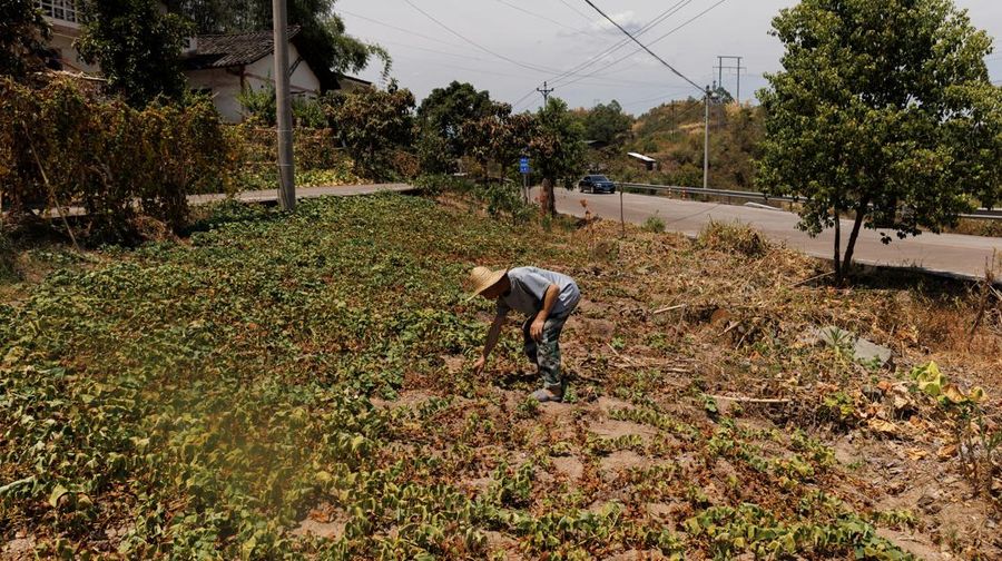 CHINA-WEATHER/FARMER