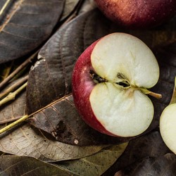 Tidak Perlu Obat, 4 Buah Ini Bisa Turunkan Kolesterol Tinggi