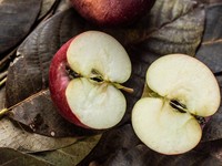 Tidak Perlu Obat, 4 Buah Ini Bisa Turunkan Kolesterol Tinggi