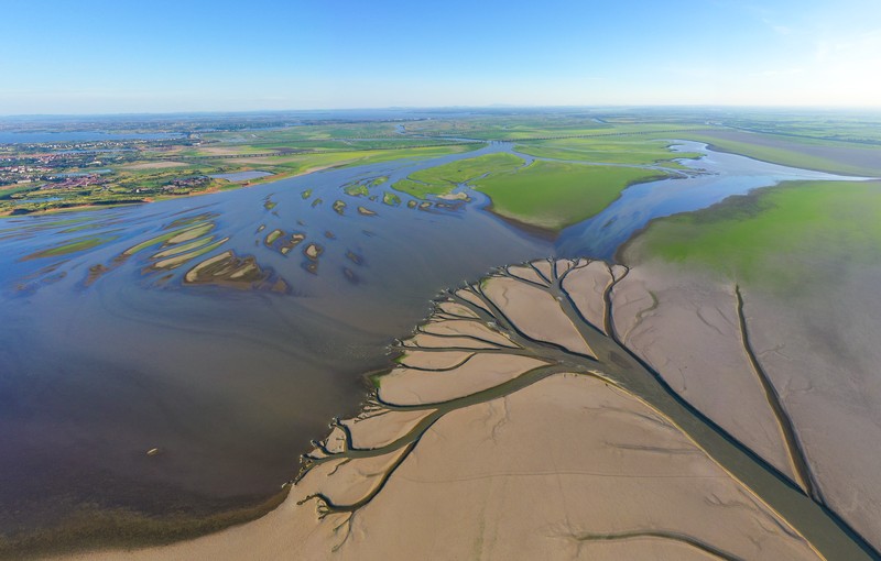 1242645569 NANCHANG, CHINA - AUGUST 21, 2022 - An aerial photo shows a tree-shaped pattern after drought in the Jinxian section of Poyang Lake in Nanchang, Jiangxi province, China, Aug 21, 2022. Affected by low rainfall and continuous high temperature, the Yangtze River Basin has seen a rare drought. Poyang Lake has entered the low dry season more than 100 days ahead of schedule, setting the record of the earliest low dry season. The water surface area of Poyang Lake has shrunk by 3/4 compared with that in June. (Photo credit should read CFOTO/Future Publishing via Getty Images)