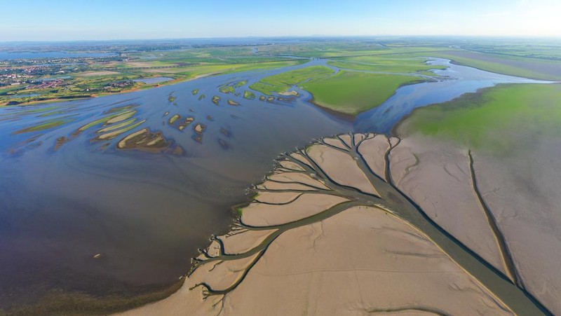 NANCHANG, CHINA - AUGUST 21, 2022 - An aerial photo shows a tree-shaped pattern after drought in the Jinxian section of Poyang Lake in Nanchang, Jiangxi province, China, Aug 21, 2022. Affected by low rainfall and continuous high temperature, the Yangtze River Basin has seen a rare drought. Poyang Lake has entered the low dry season more than 100 days ahead of schedule, setting the record of the earliest low dry season. The water surface area of Poyang Lake has shrunk by 3/4 compared with that in June. (Photo credit should read CFOTO/Future Publishing via Getty Images)