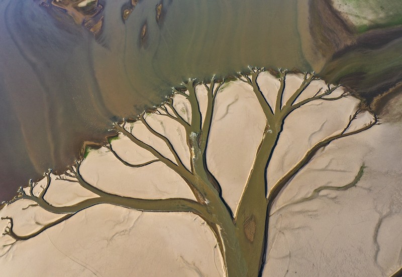 1242645569 NANCHANG, CHINA - AUGUST 21, 2022 - An aerial photo shows a tree-shaped pattern after drought in the Jinxian section of Poyang Lake in Nanchang, Jiangxi province, China, Aug 21, 2022. Affected by low rainfall and continuous high temperature, the Yangtze River Basin has seen a rare drought. Poyang Lake has entered the low dry season more than 100 days ahead of schedule, setting the record of the earliest low dry season. The water surface area of Poyang Lake has shrunk by 3/4 compared with that in June. (Photo credit should read CFOTO/Future Publishing via Getty Images)