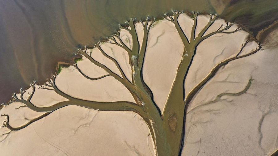 NANCHANG, CHINA - AUGUST 21, 2022 - An aerial photo shows a tree-shaped pattern after drought in the Jinxian section of Poyang Lake in Nanchang, Jiangxi province, China, Aug 21, 2022. Affected by low rainfall and continuous high temperature, the Yangtze River Basin has seen a rare drought. Poyang Lake has entered the low dry season more than 100 days ahead of schedule, setting the record of the earliest low dry season. The water surface area of Poyang Lake has shrunk by 3/4 compared with that in June. (Photo credit should read CFOTO/Future Publishing via Getty Images)