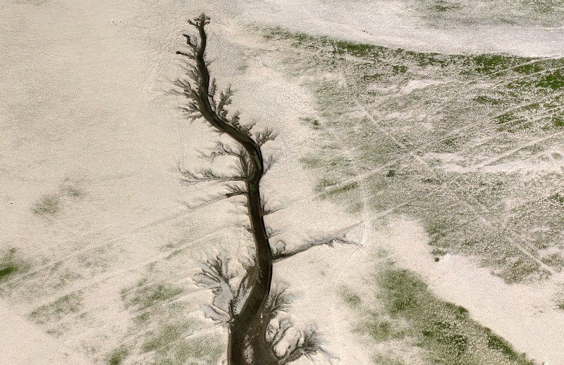 1242645569 NANCHANG, CHINA - AUGUST 21, 2022 - An aerial photo shows a tree-shaped pattern after drought in the Jinxian section of Poyang Lake in Nanchang, Jiangxi province, China, Aug 21, 2022. Affected by low rainfall and continuous high temperature, the Yangtze River Basin has seen a rare drought. Poyang Lake has entered the low dry season more than 100 days ahead of schedule, setting the record of the earliest low dry season. The water surface area of Poyang Lake has shrunk by 3/4 compared with that in June. (Photo credit should read CFOTO/Future Publishing via Getty Images)