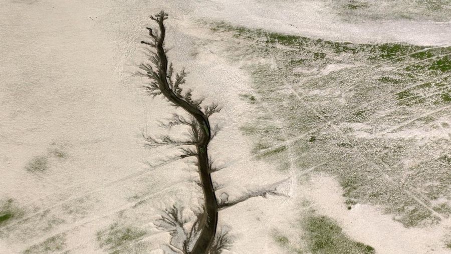 NANCHANG, CHINA - AUGUST 21, 2022 - An aerial photo shows a tree-shaped pattern after drought in the Jinxian section of Poyang Lake in Nanchang, Jiangxi province, China, Aug 21, 2022. Affected by low rainfall and continuous high temperature, the Yangtze River Basin has seen a rare drought. Poyang Lake has entered the low dry season more than 100 days ahead of schedule, setting the record of the earliest low dry season. The water surface area of Poyang Lake has shrunk by 3/4 compared with that in June. (Photo credit should read CFOTO/Future Publishing via Getty Images)
