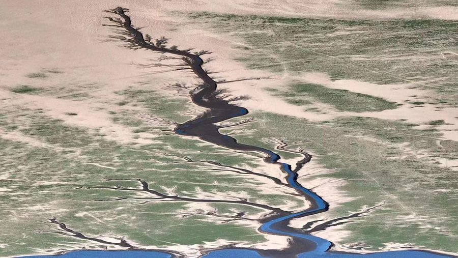 NANCHANG, CHINA - AUGUST 21, 2022 - An aerial photo shows a tree-shaped pattern after drought in the Jinxian section of Poyang Lake in Nanchang, Jiangxi province, China, Aug 21, 2022. Affected by low rainfall and continuous high temperature, the Yangtze River Basin has seen a rare drought. Poyang Lake has entered the low dry season more than 100 days ahead of schedule, setting the record of the earliest low dry season. The water surface area of Poyang Lake has shrunk by 3/4 compared with that in June. (Photo credit should read CFOTO/Future Publishing via Getty Images)