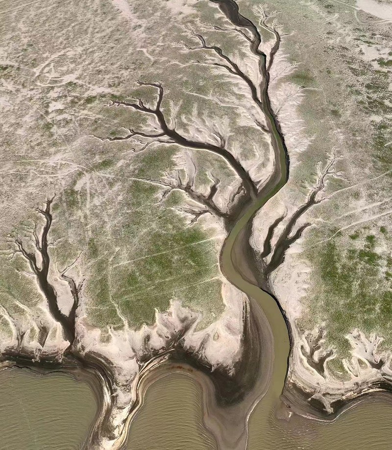 NANCHANG, CHINA - AUGUST 21, 2022 - An aerial photo shows a tree-shaped pattern after drought in the Jinxian section of Poyang Lake in Nanchang, Jiangxi province, China, Aug 21, 2022. Affected by low rainfall and continuous high temperature, the Yangtze River Basin has seen a rare drought. Poyang Lake has entered the low dry season more than 100 days ahead of schedule, setting the record of the earliest low dry season. The water surface area of Poyang Lake has shrunk by 3/4 compared with that in June. (Photo credit should read CFOTO/Future Publishing via Getty Images)