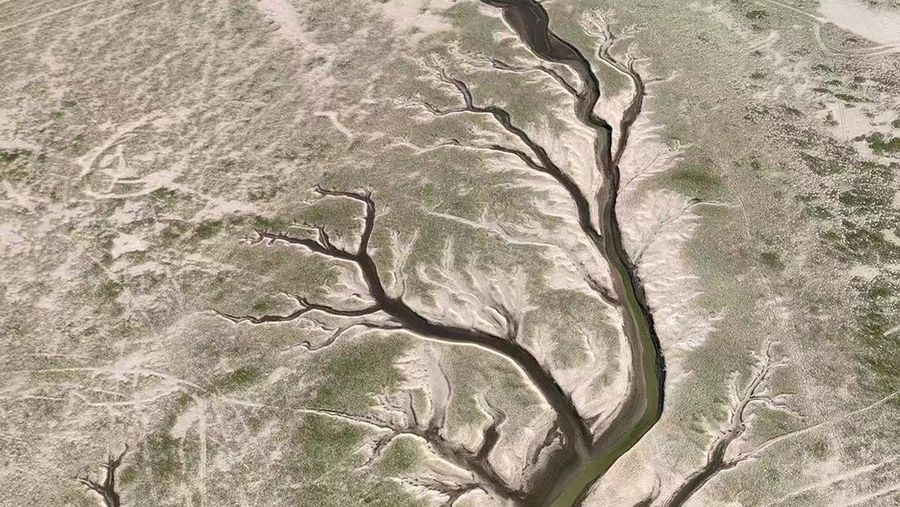 NANCHANG, CHINA - AUGUST 21, 2022 - An aerial photo shows a tree-shaped pattern after drought in the Jinxian section of Poyang Lake in Nanchang, Jiangxi province, China, Aug 21, 2022. Affected by low rainfall and continuous high temperature, the Yangtze River Basin has seen a rare drought. Poyang Lake has entered the low dry season more than 100 days ahead of schedule, setting the record of the earliest low dry season. The water surface area of Poyang Lake has shrunk by 3/4 compared with that in June. (Photo credit should read CFOTO/Future Publishing via Getty Images)