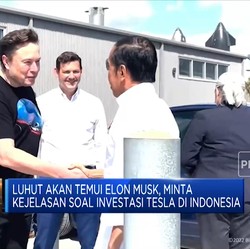 Akan Bertemu Elon Musk, Luhut Minta Kejelasan Investasi Tesla
