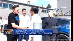 Akan Bertemu Elon Musk, Luhut Minta Kejelasan Investasi Tesla