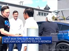 Akan Bertemu Elon Musk, Luhut Minta Kejelasan Investasi Tesla