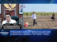 Alasan Pemerintah Kembangkan Sorgum Jadi Substitusi Gandum