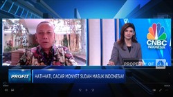 Cacar Monyet Masuk Indonesia, Waspada Ini Gejalanya!