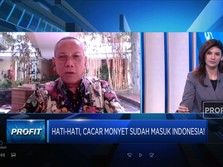 Cacar Monyet Masuk Indonesia, Waspada Ini Gejalanya!