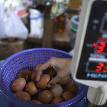 Krisis Pangan Nyata, Harga Telur Ayam Tiba-Tiba 'Meledak'
