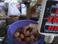 Krisis Pangan Nyata, Harga Telur Ayam Tiba-Tiba 'Meledak'