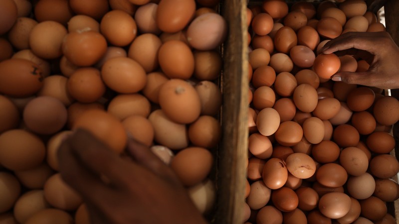 Harga Telur Naik (CNBC Indonesia/Tri Susilo)