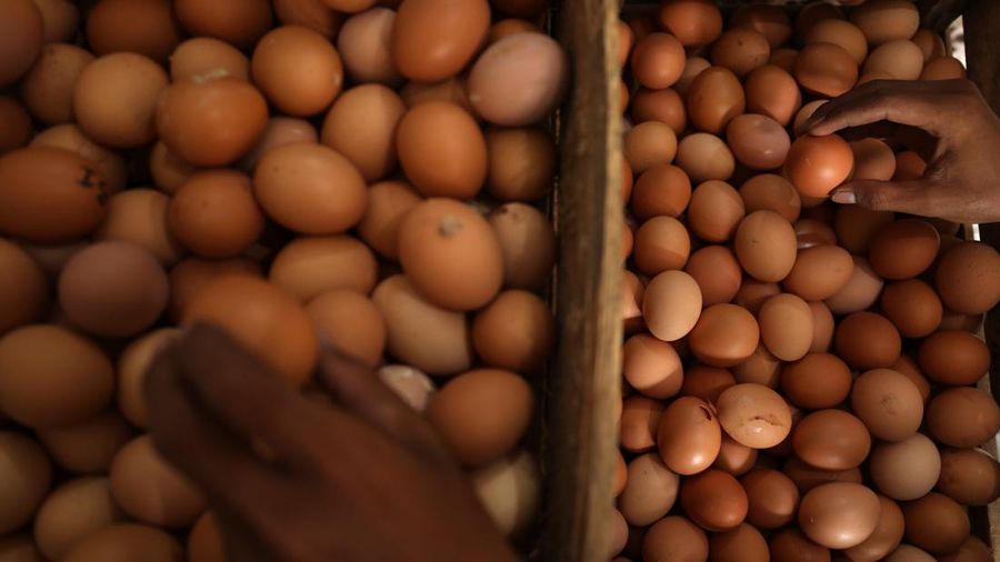 Harga Telur Naik (CNBC Indonesia/Tri Susilo)