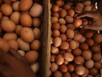 'Meledak'! Harga Telur Rekor ke Rp35.000, DPR Warning Zulhas