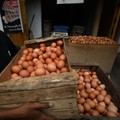 Harga Telur Mendadak 'Meledak', Ternyata Ini Biang Keroknya