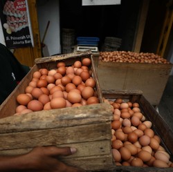 Harga Telur Mendadak 'Meledak', Ternyata Ini Biang Keroknya