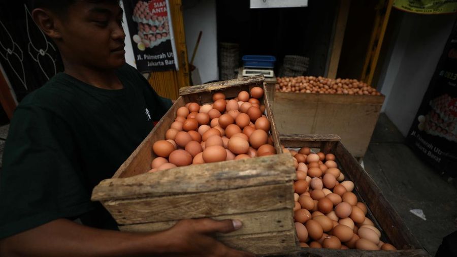 Harga Telur Naik (CNBC Indonesia/Tri Susilo)